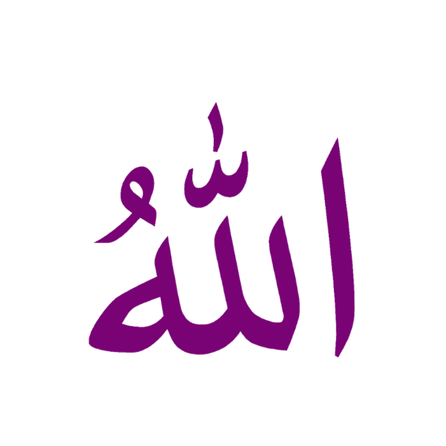 Explore Our Multiple Online Quran Courses at Muhammadan Quran School